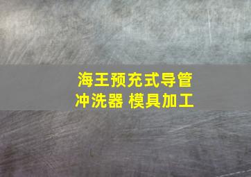 海王预充式导管冲洗器 模具加工